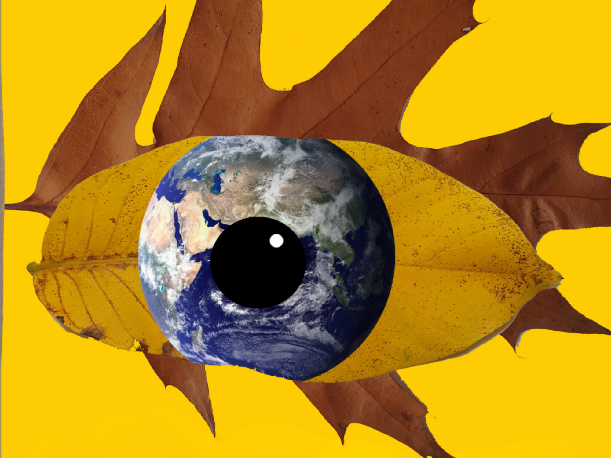 Die Erde als Auge auf zwei Blättern, Motiv des Kunstwettbewerbs